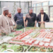Food Security: Yobe Officials Visit World Largest Fertiliser Plant In Morocco