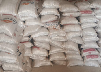 Foundation Distributes Food To Vulnerable Families In Bauchi