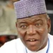 It’s An Insult That Tinubu’s Son Came To North To Share Cooked Food, Says Sule Lamido