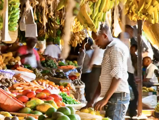 HarvestPlus Webinar Champions Female-led Food Systems Transformation 1 AGRF 1