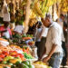 HarvestPlus Webinar Champions Female-led Food Systems Transformation 5 HarvestPlus Webinar Champions Female-led Food Systems Transformation