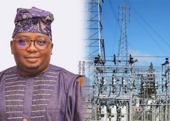 Adelabu Inaugurates Committee On National Council On Power