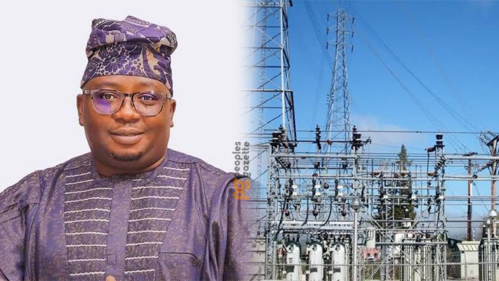 Adelabu Inaugurates Committee On National Council On Power 1 Adebayo Adelabu and Power grid