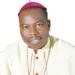 Arrested Kidnapper Of Catholic Priests Not A Mass Server – Bishop Mamza