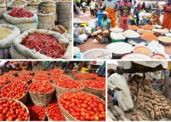 Ramadan: Food Prices Crash As Fruit Sellers Decry Low Patronage In Yobe