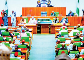 CONSTITUTION AMENDMENT…State, LG Police Spark Fresh Debate As Reps Pass 39 Bills