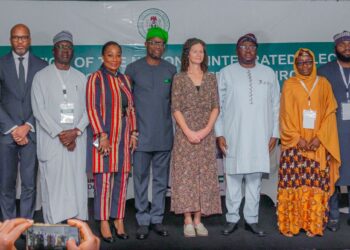 UKNIAF Backs Nigeria’s Power Reform With National Electricity Policy Launch