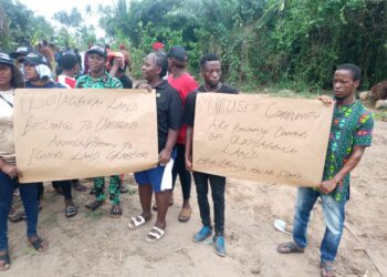 Axxela Confirms Land Acquisition For Gas Project In Delta