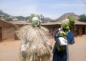 Traditional Worshippers Seek Equal Treatment With Other Religions In Plateau