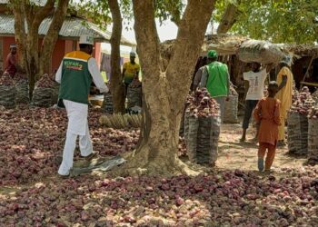 300 PWDs, Women Benefit As WOFAN Empowers Kano Farmers
