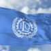 ILO Intensifies Efforts Against Child Labour In Nigerian States 5 ILO Intensifies Efforts Against Child Labour In Nigerian States