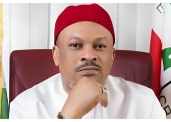 Pro-Anyanwu Group Accuses PDP Govs, Others For Imposing National Scribe