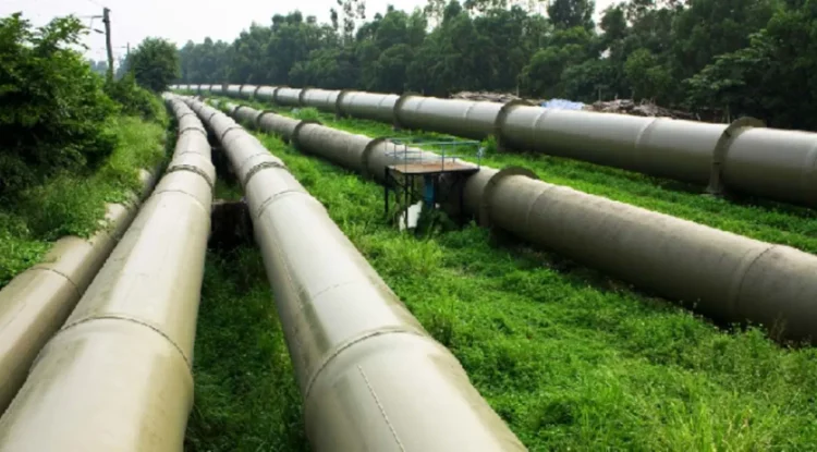 NLNG