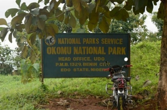 Conservator Lauds NPS Partnership With ANI 1 Okomu National Park