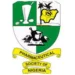 PSN Urges Adoption Of Consultant Pharmacist Cadre