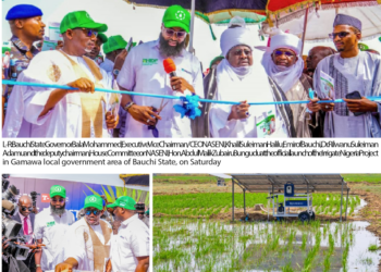 NASENI’s ‘Irrigate Nigeria Project: New Dimension To Agriculture Revolution