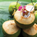Is Drinking Coconut Water Truly Healthy? 5 7 Activities To Keep Your Kids Away From Mobile Screens