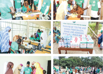 Great Green Wall Is Mobilising Youths, Women For Land Restoration