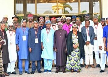 Tinubu Meets Lagos Speaker Obasa, Others