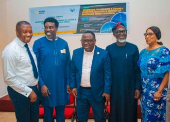 Experts Push Policy Reforms To Boost Renewable Energy Investments