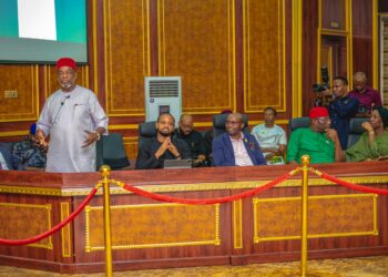 SEDC Visits Gov Uzodimma, Strengthens Developmental Ties With Imo