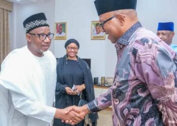 NDYC Backs Peter Obi, Bala Mohammed Alliance