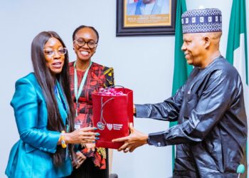 Tinubu’s Economic Policies Restoring Stability — Shettima
