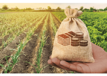 Investing In Agriculture Through Regulated Crowdfunding