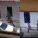 Minister Condemns Air Force Attack On Ikeja DisCo 5 Minister Condemns Air Force Attack On Ikeja DisCo