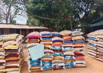 Customs Intercepts N1.72bn Trucks Of Rice, Petrol, Others In 1 Month