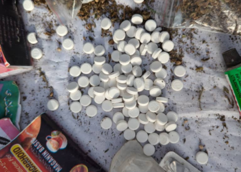 Kano Task Force Cracks Down On Thuggery, Drug Abuse, Arrests 53 Suspects