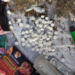 Kano Task Force Cracks Down On Thuggery, Drug Abuse, Arrests 53 Suspects