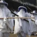 Amazon Prime Apologises Over Desecration Of Eyo Masquerade In 'Gangs Of Lagos' 3 Amazon Prime Apologises Over Desecration Of Eyo Masquerade In ‘Gangs Of Lagos’