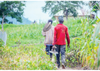 Looming Food Insecurity: Address Farmers’ Challenges Now, Experts Tell FG