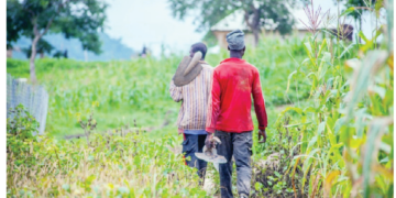 NiMet Advises Farmers To Intensify Planting As Rainy Season Begins 2 Looming Food Insecurity: Address Farmers’ Challenges Now, Experts Tell FG