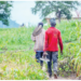 Looming Food Insecurity: Address Farmers’ Challenges Now, Experts Tell FG