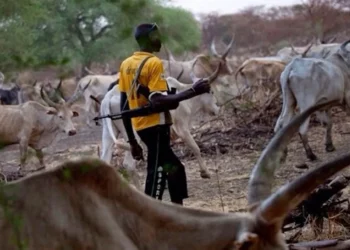 Report Of Herdsmen Attack In Ondo Untrue — Gov’t