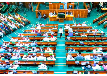 EMERGENCY RULE IN RIVERS… NASS Backs Tinubu, Niger Delta Leaders Kick