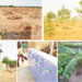 For Katsina Residents, NAGGW Represents Hope And Transformation