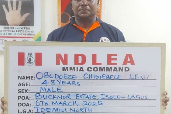 ndlea