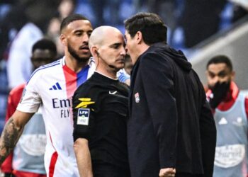 Lyon Boss Fonseca Gets 9-Month Ban For Confronting Referee