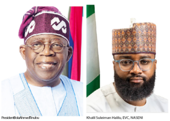 Irrigate Nigeria: How RHIDF, NASENI And Private Investors Are Bringing President Tinubu’s Vision To Life