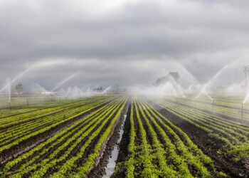 Israeli-Agro Investment Company To Establish Firm In Abia 
