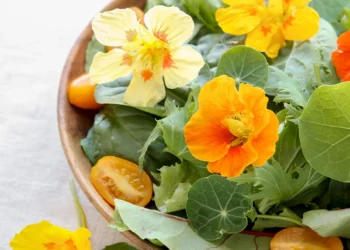 Edible Flowers For Nutrition, Beauty