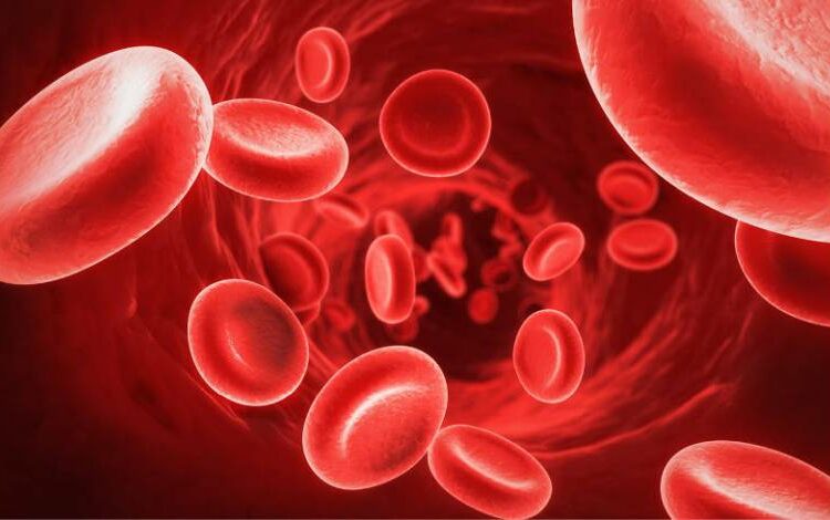 Haemophilia
