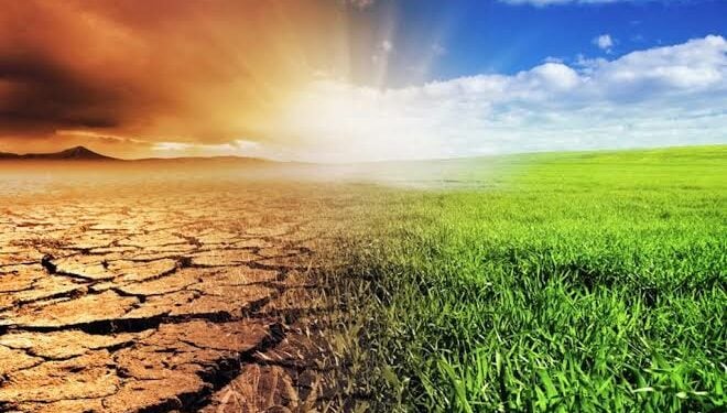Climate Reparations For Africa