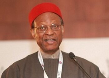 Again, Anyaoku Calls For New Constitution