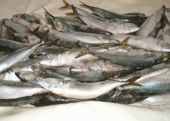 Frozen Fish, Pepper, And Tomatoes Price Rise By Over 100%
