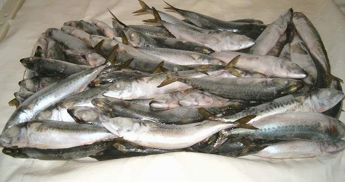 Enugu Residents Lament Rising Cost Of Frozen Fish 1 FROZEN fish