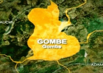 Gombe Easter Monday Truck Attack Deliberate — Panel